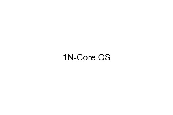 1N-Core OS